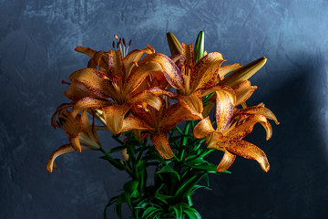 Fototapeta na wymiar Bouquet of orange lilies on a dark background