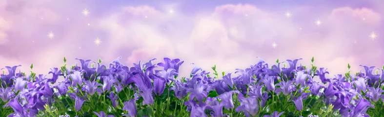 Papier Peint photo autocollant Violet Wide panoramic banner with fantasy blooming bluebells campanula flowers in garden against the magical sky with spectacular clouds and shining stars