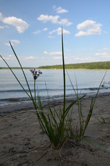 jezioro ,sztuczny zbiornik ,Chańcza zalew ,źródło , żródełko , strumyk ,bory, potok, woda, rzeka, charakter, drzew, zieleń, drzew, creek, krajobraz, wodospad, jary, brooks, opoka, mech, drewna, jesien © Szymon