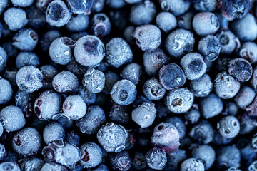 Frozen blueberries texture. Frozen berries - obrazy, fototapety, plakaty