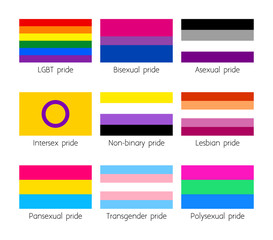 Sexual identity LGBT flags set.