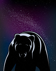 Walking bear isolated in black in a starry night.