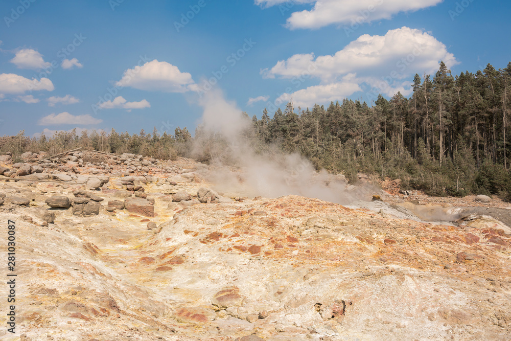 Wall mural norris geyser back basin in in yellowstone national park in wyoming