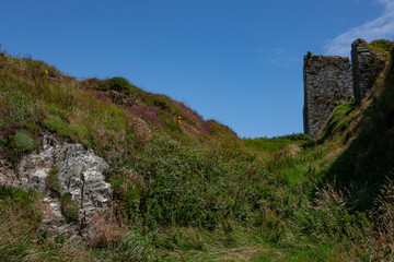 Fototapeta na wymiar Westcoast Ireland Ring of Kerry Ruin of a castle