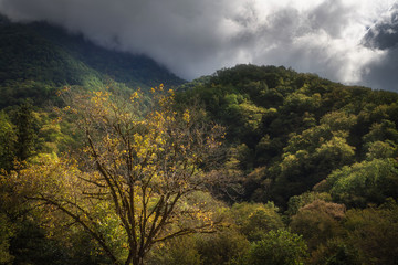 dramatic sky in the autumn mountains overgrown with forest