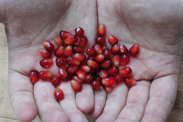 Garnet seeds in hands