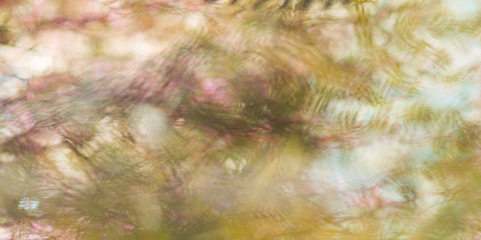 Abstractions of nature