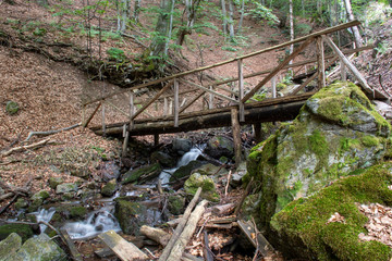 wooden bridge