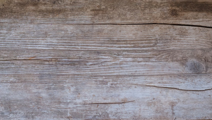 the background is a gray-brown old wooden Board. Wood texture