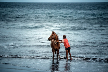 Horse and young boy into the sea water on beach sand at sunset
