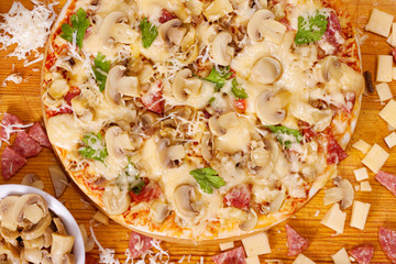 Freshly baked pizza with mushrooms, salami and cheese