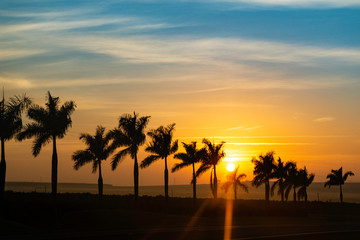Obraz premium Sunrise with coconut palm silhouette near the road.