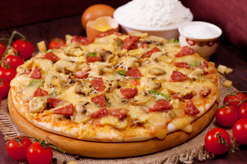 Freshly baked pizza with mushrooms, salami and cheese