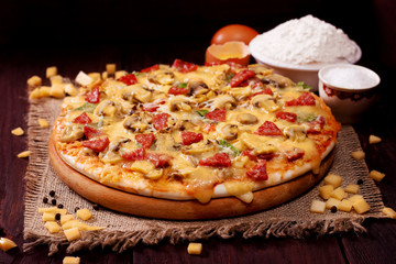 Freshly baked pizza with mushrooms, salami and cheese