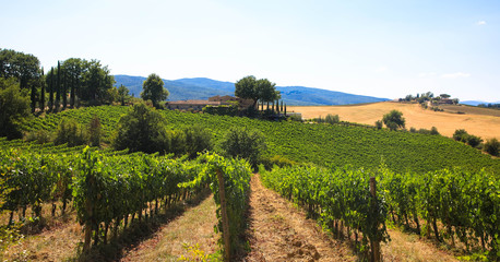 Fototapeta na wymiar Chianti, Weinregion in der Toskana
