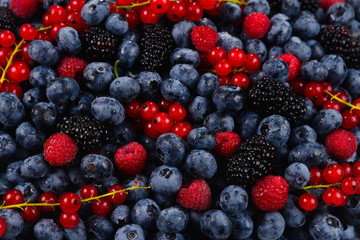 Blackberry, raspberry, blueberry,  red currant and mint background.