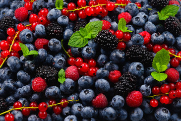 Blackberry, raspberry, blueberry,  red currant and mint background.