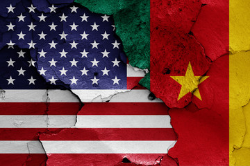 flags of USA and Cameroon painted on cracked wall