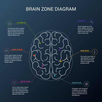 Brain function diagram. Top view of human brain
