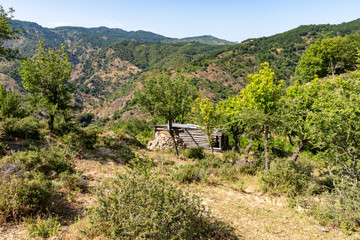 rocca del drago e le caldaie del latte. Bova, reggio calabria