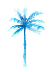 hand drawn blue palm tree watercolor illustration, isolated nature on white background - 281042693