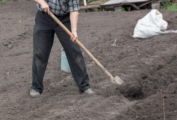 A man digs the ground with a shovel in the garden