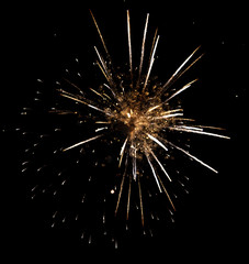 Fireworks sparkles in the night sky as background