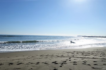 海岸のサーファー