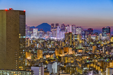 Tokyo Skyline and Fuji Mountain