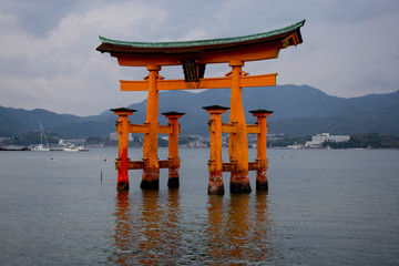 Fototapeta premium Torii. Isla de Miyajima