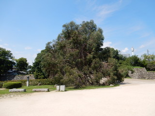 広島城　日本