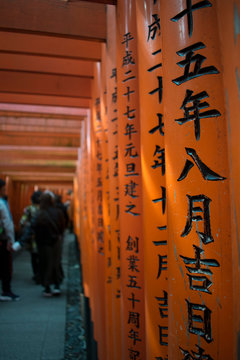 Camino de Toriis en el Templo Fushimi Inari. Jap&oacute;n