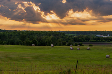 sunset over green field