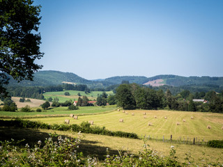 Fototapeta na wymiar Limousin landscape
