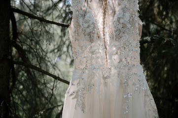 wedding dress on a tree in the park.bridesmaid dress on a tree branch