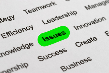 Fototapeta premium Issues - Project Management Buzzwords, Printed on White Paper and Highlighted