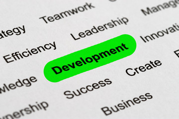 Fototapeta premium Development - Project Management Buzzwords, Printed on White Paper and Highlighted