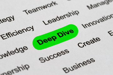 Fototapeta premium Deep Dive - Project Management Buzzwords, Printed on White Paper and Highlighted