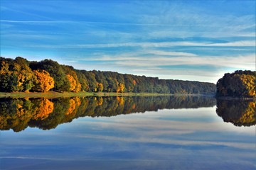 Fototapeta premium reflection of the yellowed forest in the water of the lake