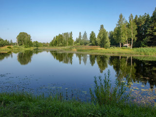 beautiful lake view, beautiful reflections, sunny summer day