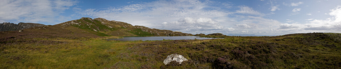 Fototapeta na wymiar Coast Ring of Kerry Ireland panorama heather peetfields