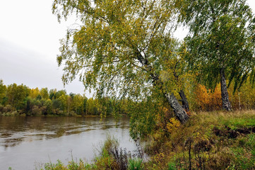 water, river, nature, landscape, tree