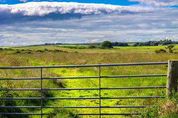 Agricultural field. Aberdeenshire, Scotland, UK
