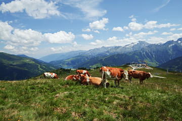 Isskogel summit in Austria Gerlos