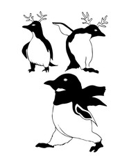 three penguins drawing on white background