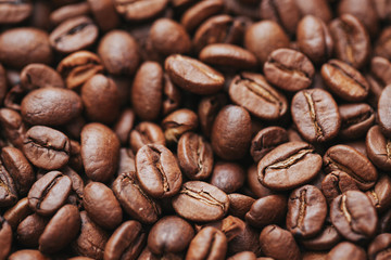 Coffee beans dark artistic background.