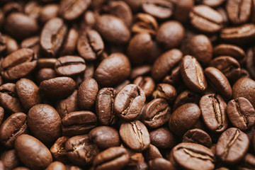 Coffee beans dark artistic background.