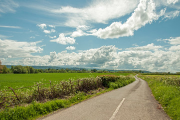 Fototapeta na wymiar Country road in the summertime.