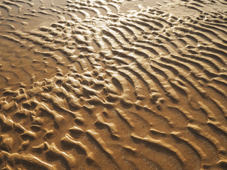 Golden sand ripples surface pattern on sunset beach.