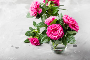 Amazing wild pink roses